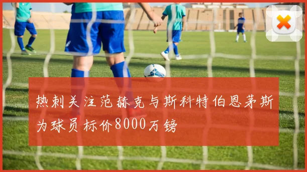 热刺关注范赫克与斯科特伯恩茅斯为球员标价8000万镑