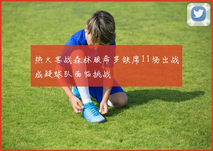 热火客战森林狼希罗缺席11场出战成疑球队面临挑战