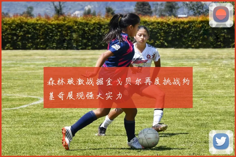 森林狼激战掘金戈贝尔再度挑战约基奇展现强大实力