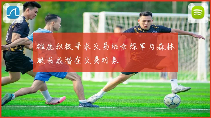 雄鹿积极寻求交易机会绿军与森林狼或成潜在交易对象